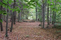 2209 Jochem Road, Edwardsburgh/Cardinal, ON, exterior
