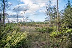 Lot 256 McGuire Beach Road, Kawartha Lakes, ON, exterior