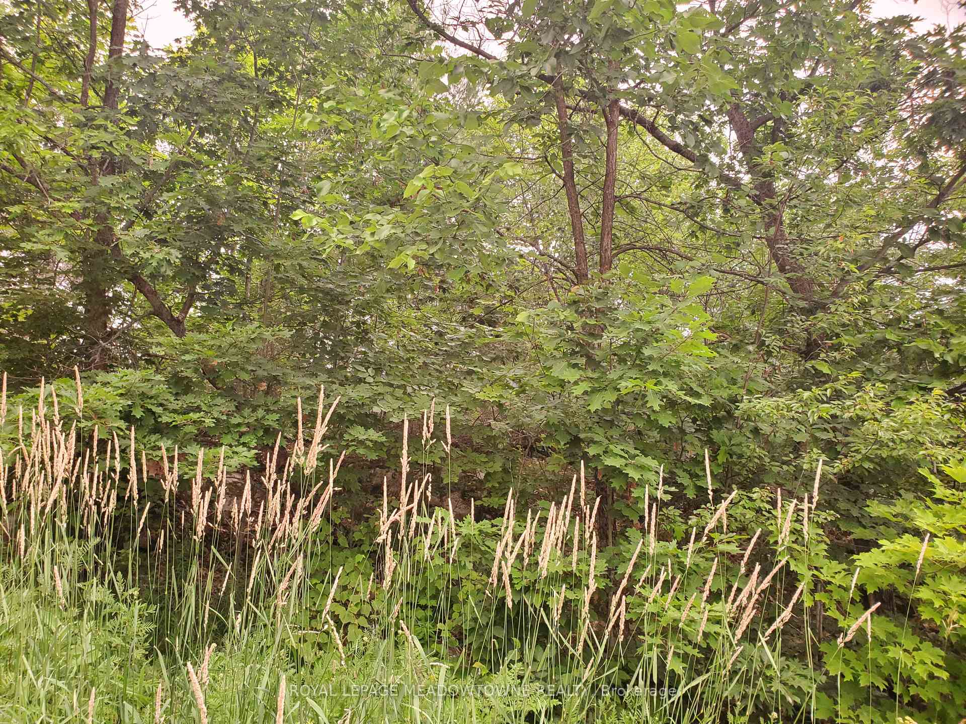 P18185 Lt 11-12 Con 11 N/A, Parry Sound Remote Area, ON, exterior