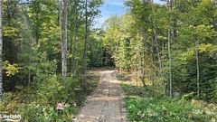 1169 Hawk Valley Road, Algonquin Highlands, ON, exterior