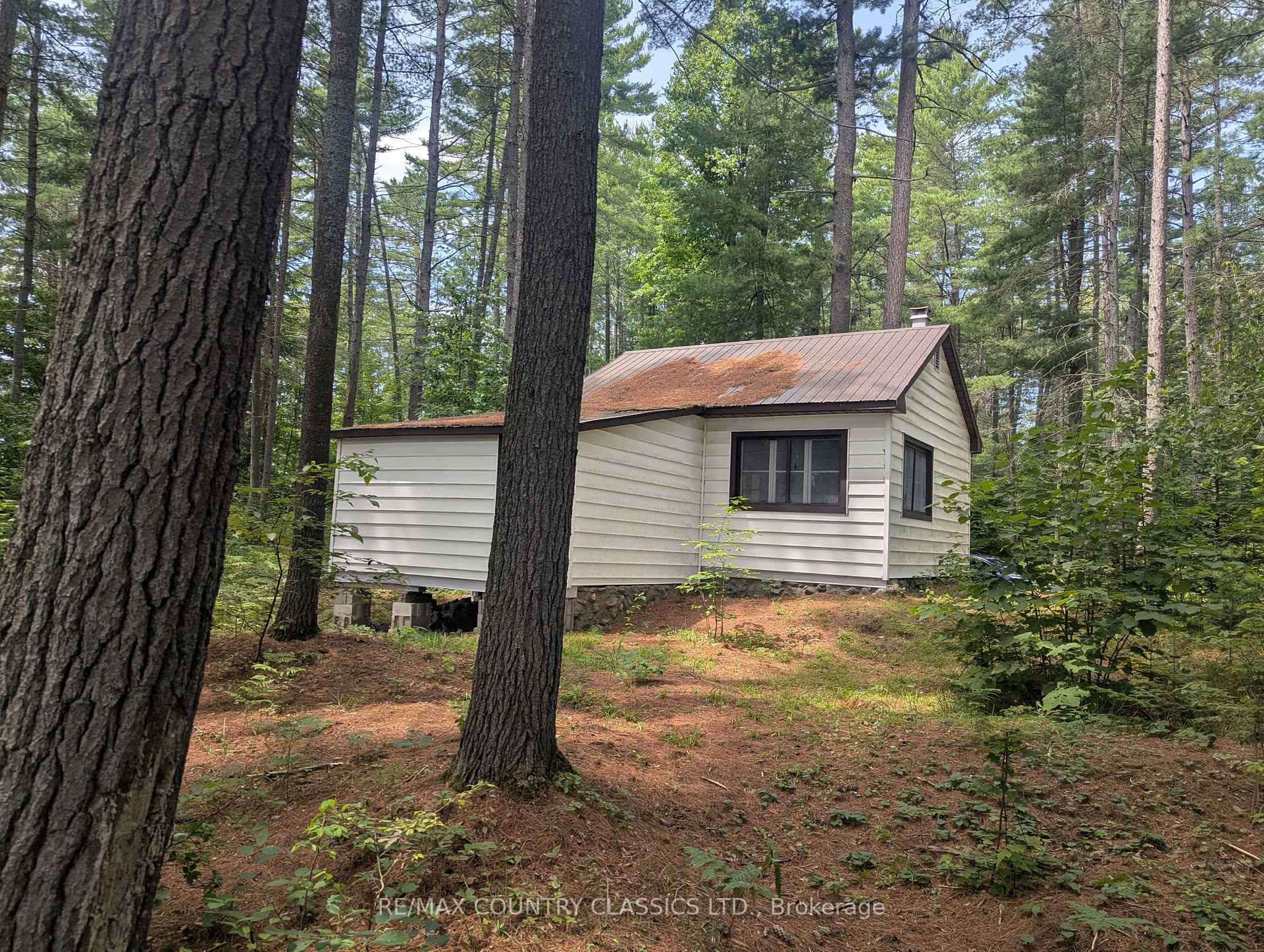 22 Swan Lane, Madawaska Valley, ON, exterior