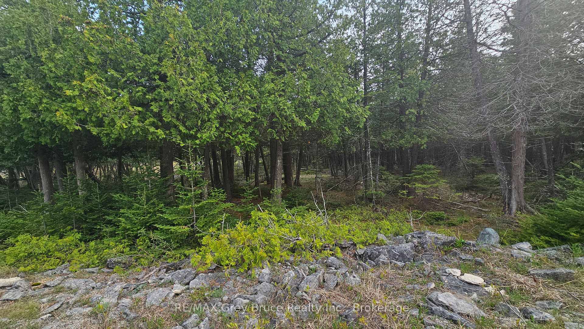 LT 254 Dorcas Bay Road, Northern Bruce Peninsula, ON, exterior