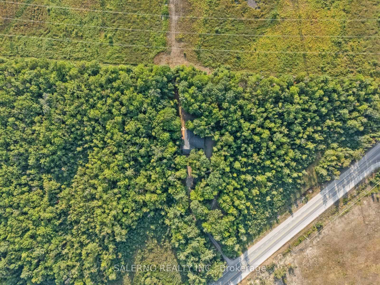 3992 Penetanguishene Road, Springwater, ON, exterior