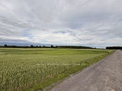 Beside 243 Morgan Road, Prince Edward County, ON, exterior