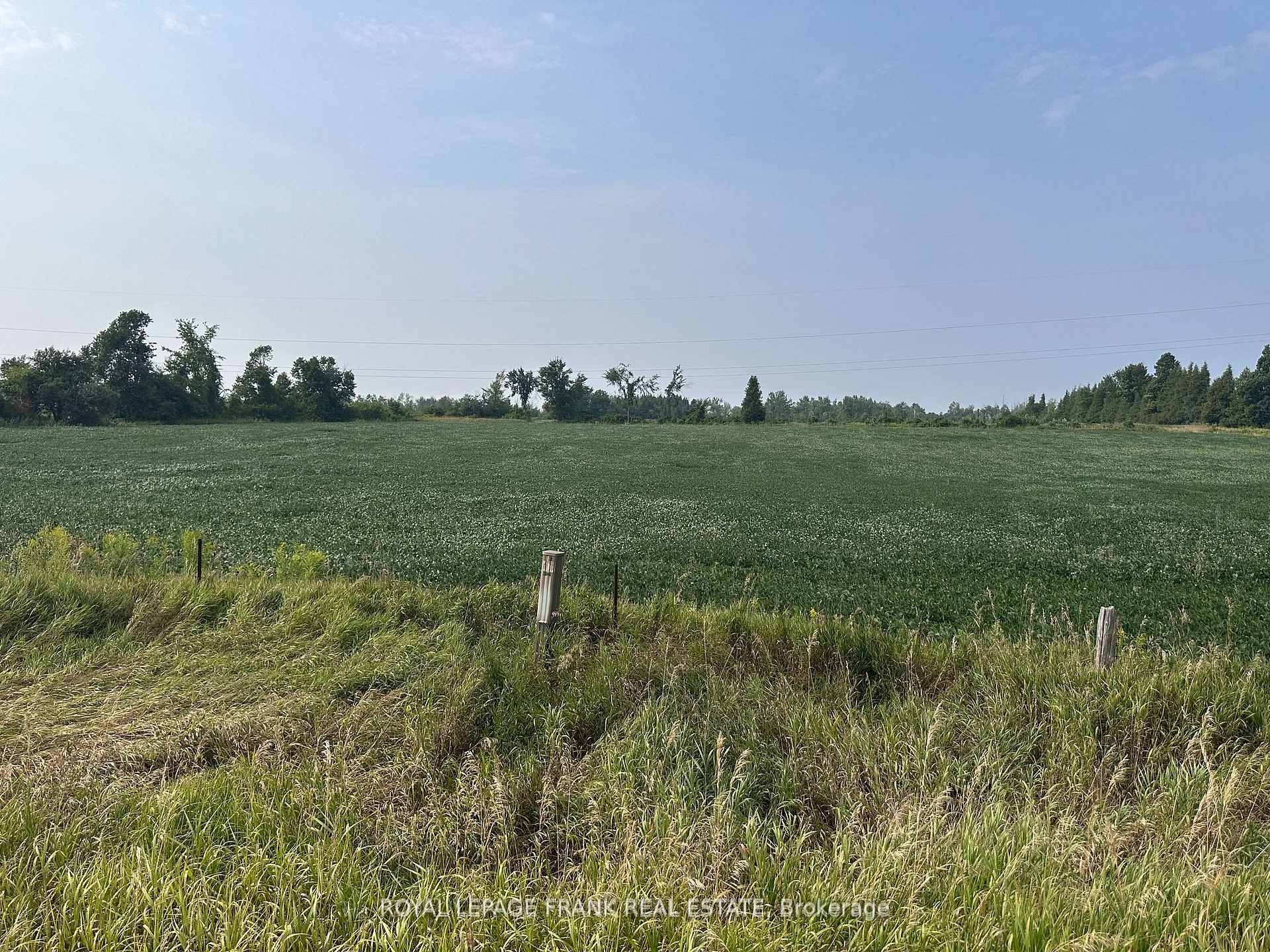 Lot A Douro Second Line, Douro-Dummer, ON, exterior