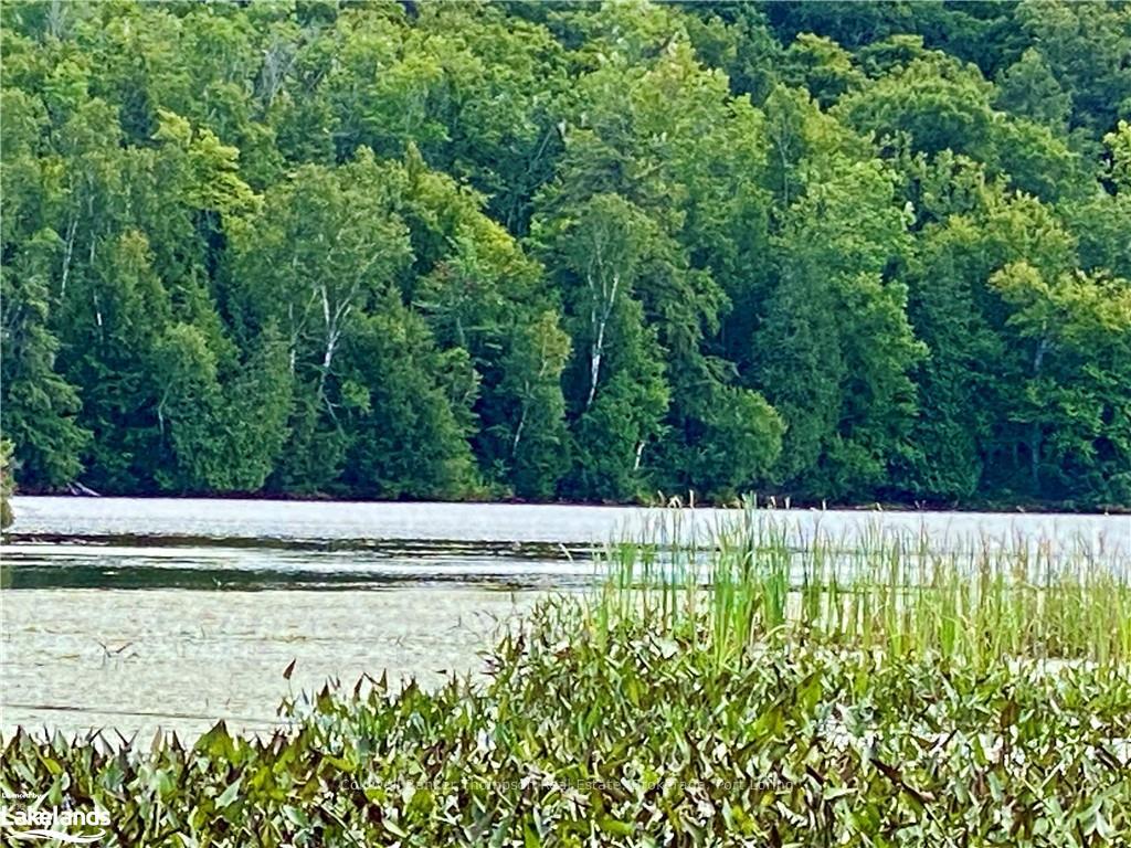 151 MAPLE Drive, Parry Sound Remote Area, ON, exterior