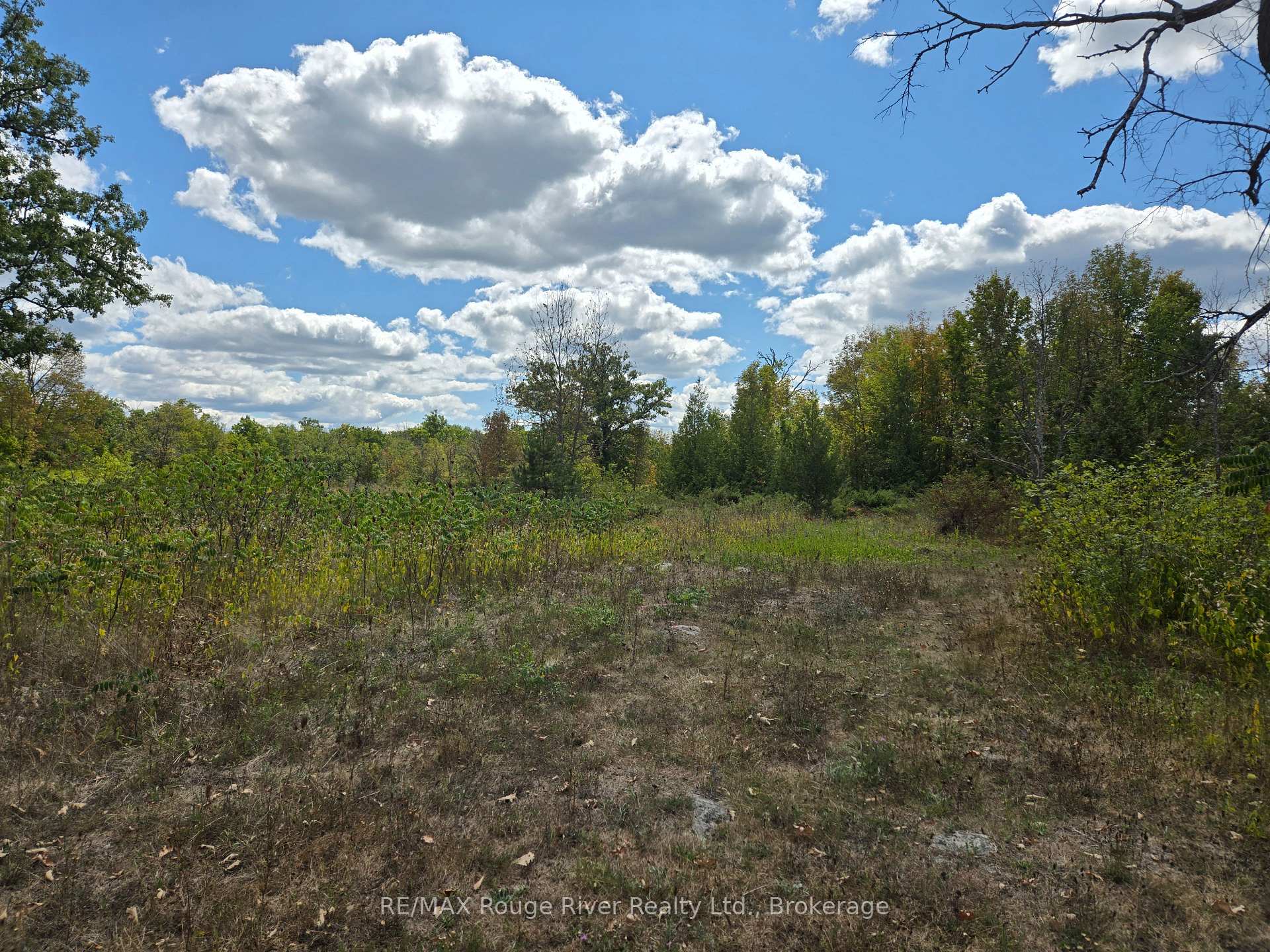 103080 Highway 7 Highway E, Marmora and Lake, ON, exterior