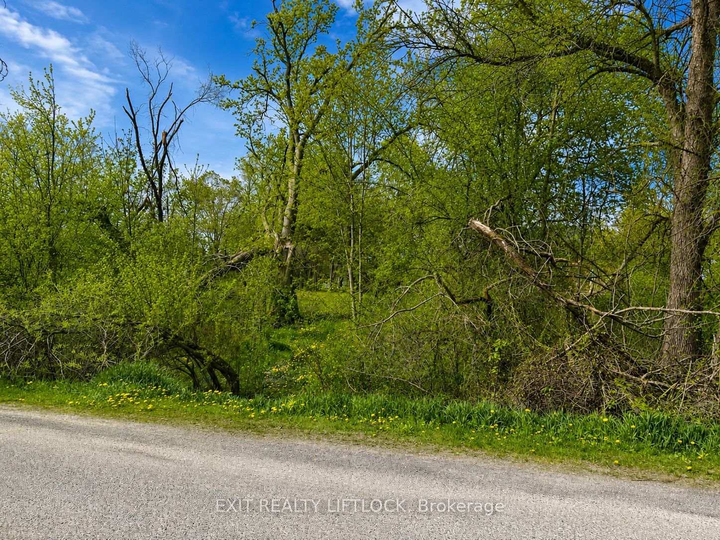 0 Maple Ridge Drive, Kawartha Lakes, ON, exterior