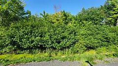 LOT 7 PLAN 246 Tolmies Corners Road, North Stormont, ON, exterior