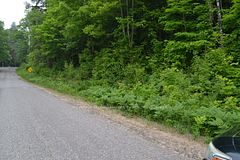 0 FERN GLEN Road, Perry, ON, exterior
