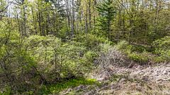0 Mineral Springs Road, Hamilton, ON, exterior