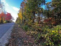 lot 0 Bellamy Road, McNab/Braeside, ON, exterior