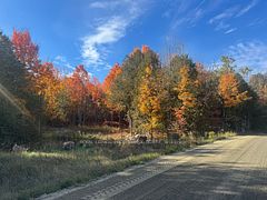 Lot 2 Vansickle Road N, Havelock-Belmont-Methuen, ON, exterior