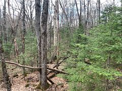 0 South Horn Lake Road, Strong, ON, exterior