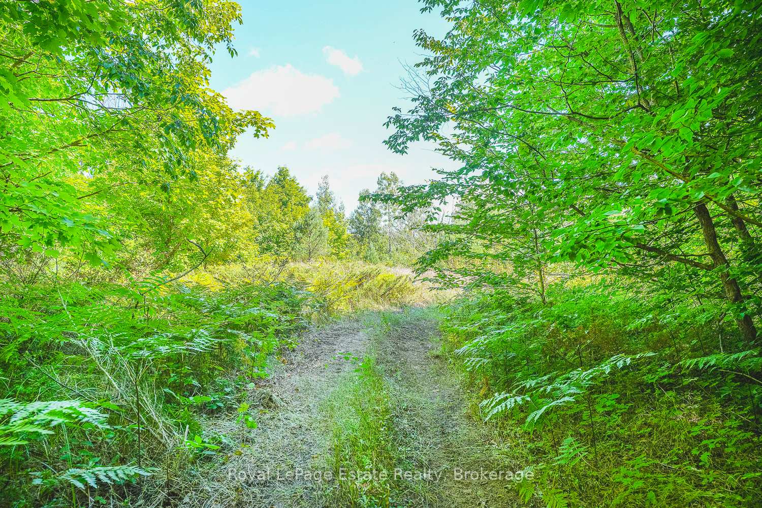 Lot 2 SIXTH Street, South Bruce Peninsula, ON, exterior