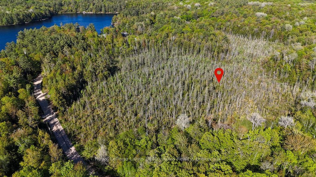 1356 Dickie Lake Road, Lake of Bays, ON, exterior