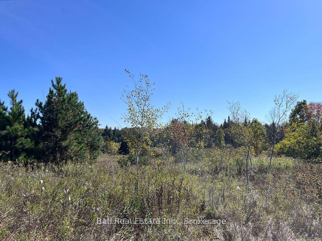 00 KOA Road, Marmora and Lake, ON, exterior
